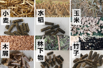 首页- 南宫NG28集团娱乐官方网站